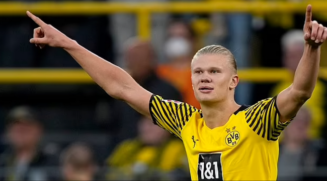 D出版物中 D出版物中