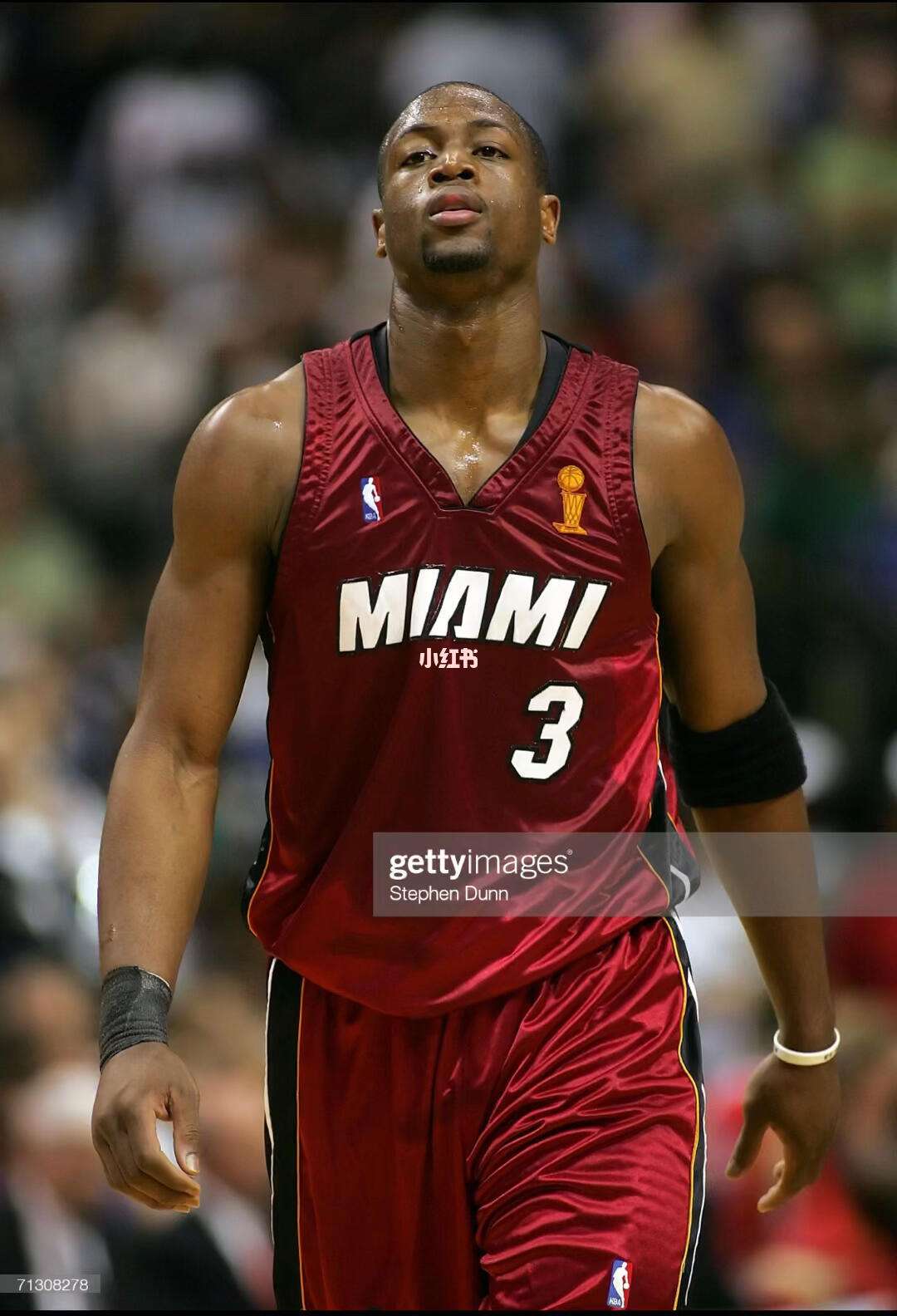 独行侠具备 独行侠具备